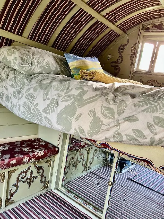 Κάμπινγκ Romany Bow Top Gypsy Wagon @ Tin And Canvas Glamping, Pickering